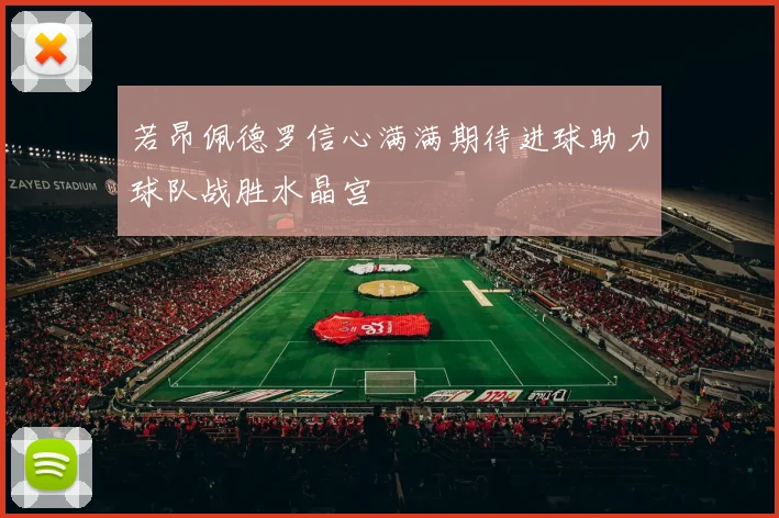 若昂佩德罗信心满满期待进球助力球队战胜水晶宫
